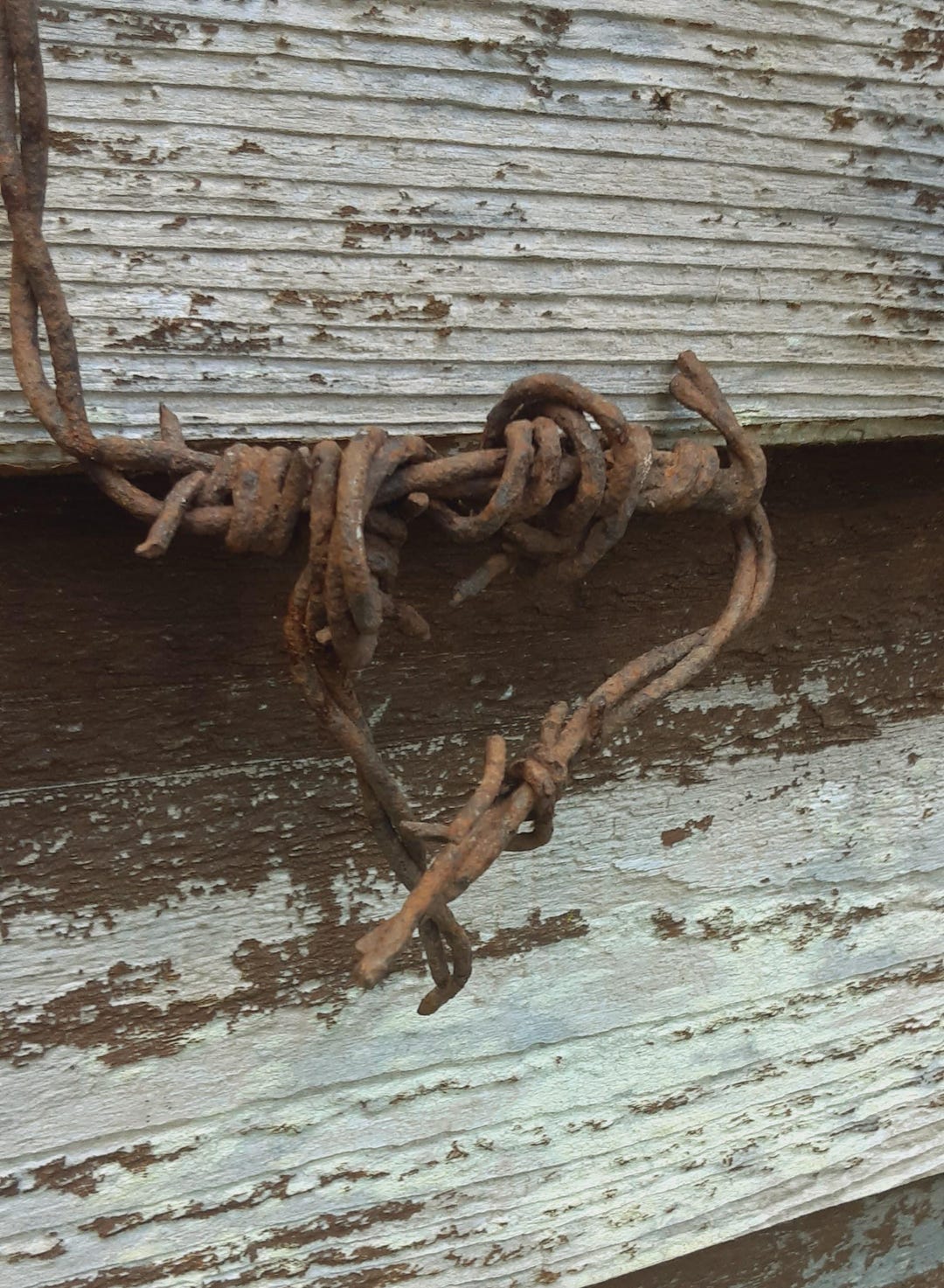 Rusted Barbed Wire - Reclaimed Wire Coil - Southwest Devils Rope - Etsy