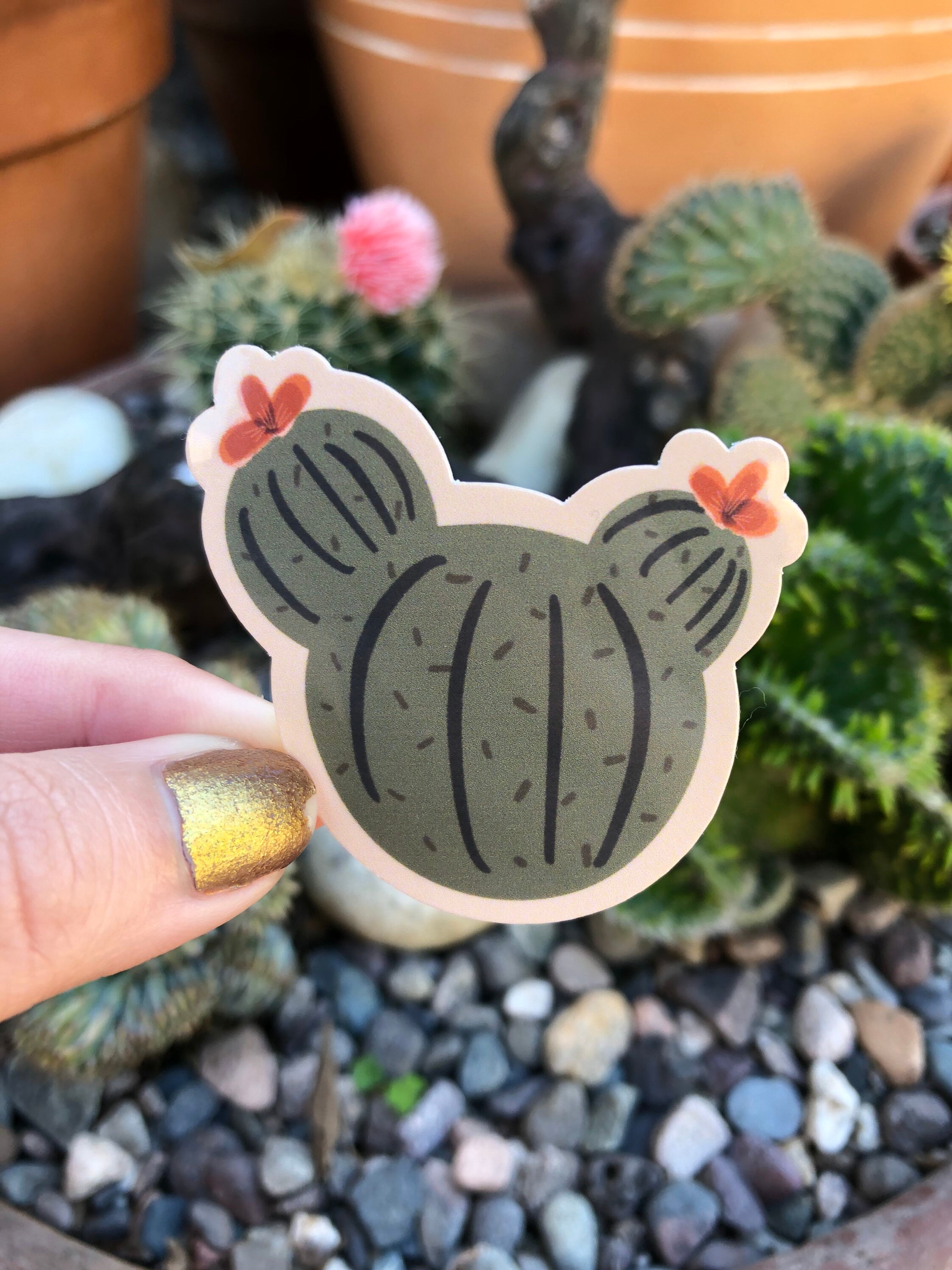 Cactus Sticker Pack 3 Glossy / Resistente al agua / Bullet Etsy