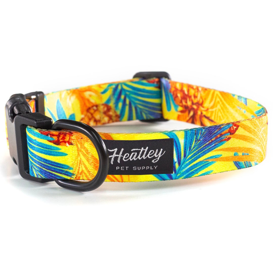 Tropical dog collars hotsell
