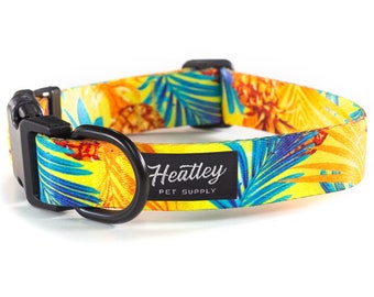 Aloha Hawaiian Dog Collar - Tropical | Tropic | Palms | Beach