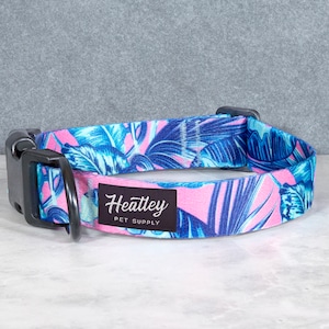Beach Party Hundehalsband - Tropisch | Rosa | Wendekreis | Palmen