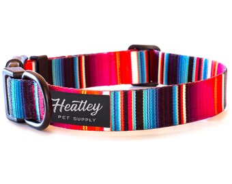 Mexican Serape Dog Collar - Nova | Blanket | Pattern | Colorful | Modern