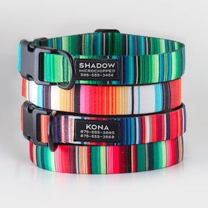 May include: A stack of four dog collars with colorful striped patterns. Each collar has a black plastic buckle and a black label with a dog's name and contact information. The collars feature green, red, and blue stripes.
