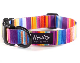 Bright Stripes Dog Collar - Pattern | Colorful | Modern