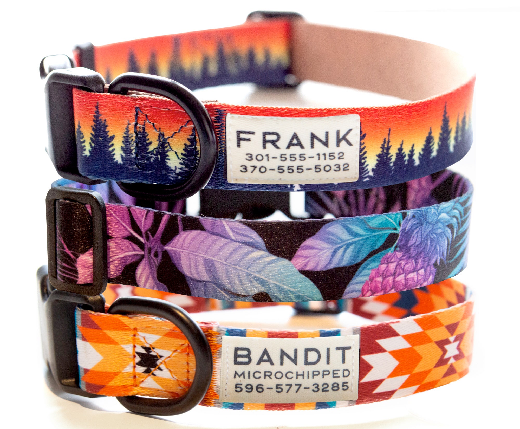 customized dog collar