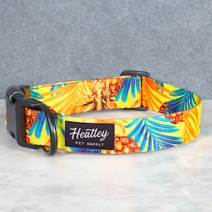 Aloha Hawaiian Dog Collar - Tropical | Tropic | Palms | Beach
