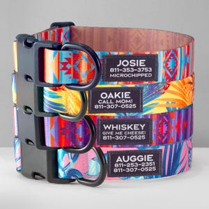 Personalized Dog Collar with Custom Name Patch