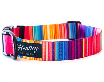 Vibrant Stripes Dog Collar - Pattern | Colorful | Modern