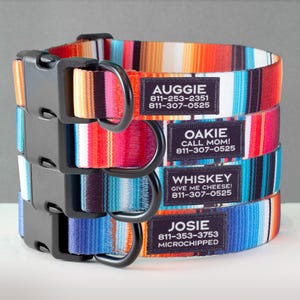 May include: Four colourful dog collars with black buckles and metal rings. Each collar has a personalised tag with a name, phone number, and a message. The collars are stacked on top of each other, with the top collar being orange, red, and yellow, the second collar being pink, red, and white, the third collar being blue, teal, and white, and the bottom collar being blue, purple, and white.