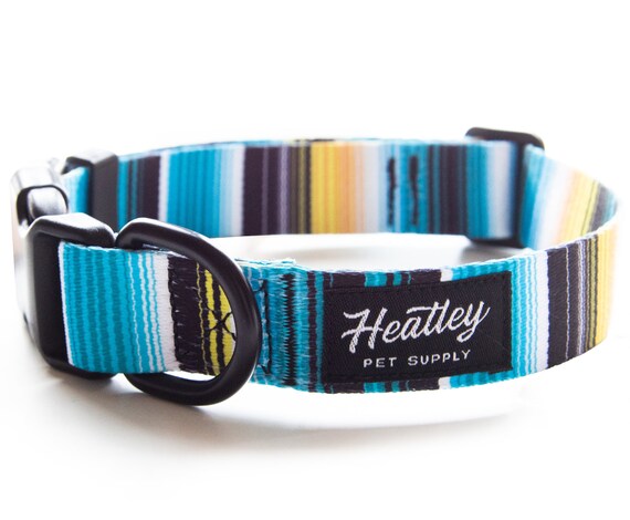 mexican dog collars