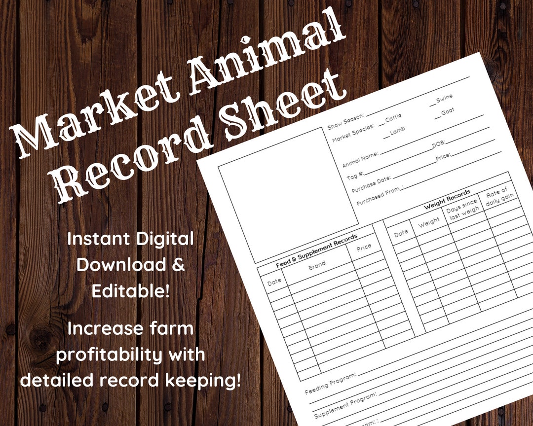 Market Animal Record Sheet Editable Instant Digital Download Record