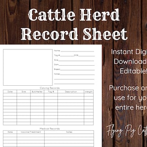 Recordblad veestapel: bewerkbaar! Directe digitale download - administratie - boerderijbeheer
