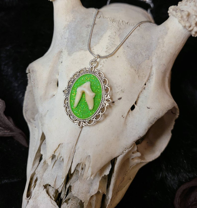 Green Animal Tooth Necklace Animal Tooth Jewelry Goth Etsy UK