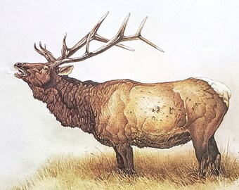 Elk Watercolor by Glen Loates Book Plate Reproduction Art Print 1977 9.5" x 13.5" North American Wildlife Nature Decor