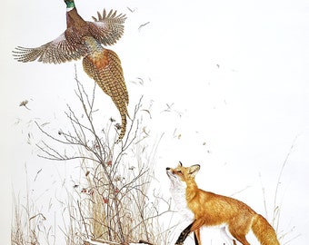 Red Fox & Ring Necked Pheasant by Glen Loates Book Plate Reproduction Art Print 1977 9.5" x 13.5" North American Wildlife Nature Decor