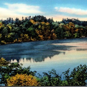 Carte postale Scène de lac tranquille au coucher ou au lever du soleil Arbres inutilisé