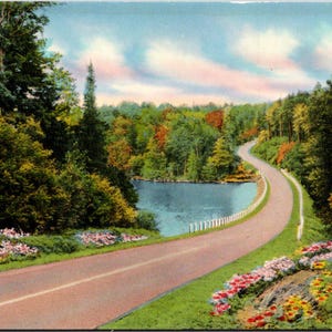 Carte postale Route de campagne le long d'un lac calme Printemps Été Fleurs et arbres non utilisé
