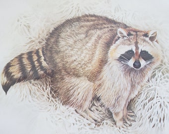 Raccoon Wildlife Art Print J Carson 1978 Pepper House Fine Arts Ottawa Canadian Artist 9x12 NOS