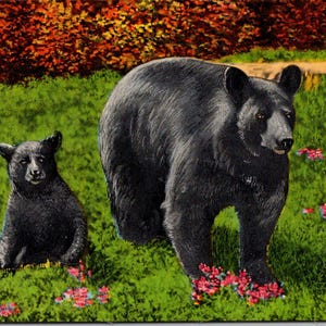 Carte postale Illustration de maman et bébé ours noir inutilisé