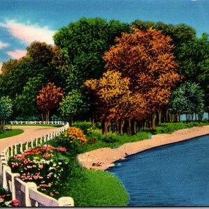 Carte postale Chemin de terre le long d'un lac calme Printemps Été Fleurs et arbres non utilisé