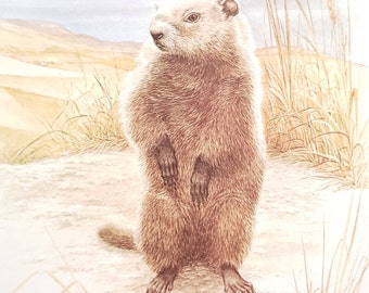 Groundhog Woodchuck Book Plate Print Illustration by Severt Andrewson 9x12 Gallery Wall Art Canadian Wild Animals Marmots