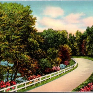 Postcard Beautiful Country Road Along a River with Spring and Summer Flowers Unused