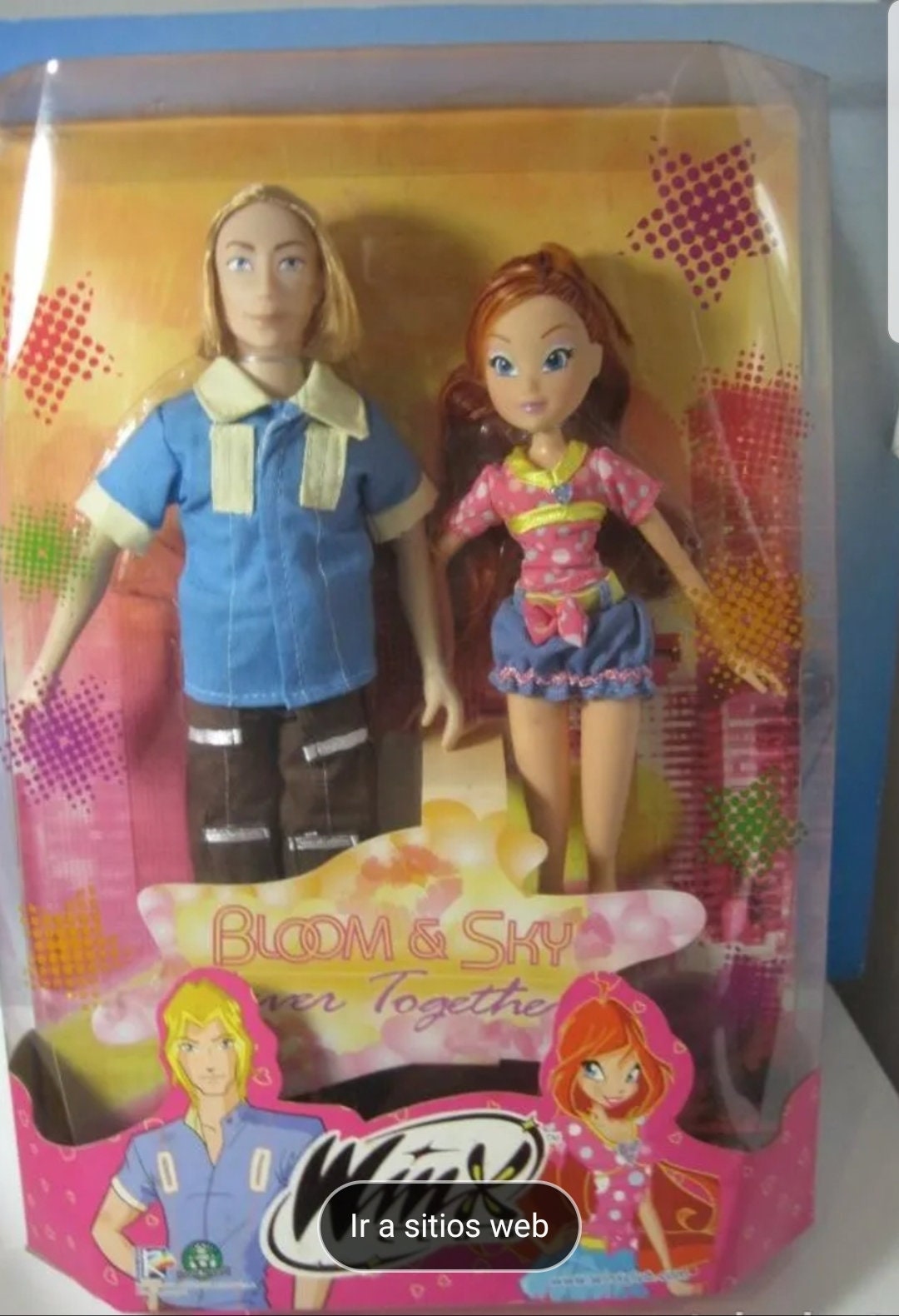 beruset diagonal antenne Winx Club Doll Bloom&sky 4ever Together .city Girl. Witty - Etsy