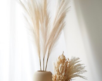 Faux Pampas Grass "Vanilla" (3 stems) Medium 38” tall Artificial - For Love Of Pampas