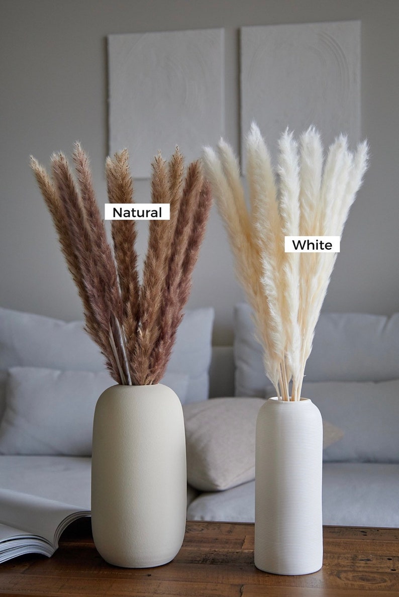 Op de afbeelding: Twee vazen met gedroogd pampasgras. De vaas links is lichtbeige en bevat natuurlijk bruin pampasgras. De vaas rechts is wit en bevat wit pampasgras. De tekst "Natuurlijk" staat boven de vaas links en de tekst "Wit" staat boven de vaas rechts.