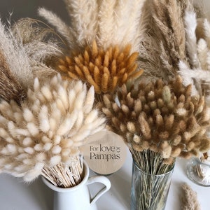 BUNNY TAILS Handpicked Bunch Natural Dried Lagurus Pampas Grass Boho Wedding Decor Bridal Bouquet Bohemian Plant Wedding favors Terracotta image 1