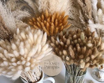 Dried Bunny Tails Bunch: Natural Lagurus Grass, Boho Wedding Decor