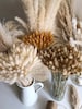 BUNNY TAILS Handpicked Bunch - Natural Dried Lagurus Pampas Grass Boho Wedding Decor Bridal Bouquet Bohemian Plant Wedding favors 