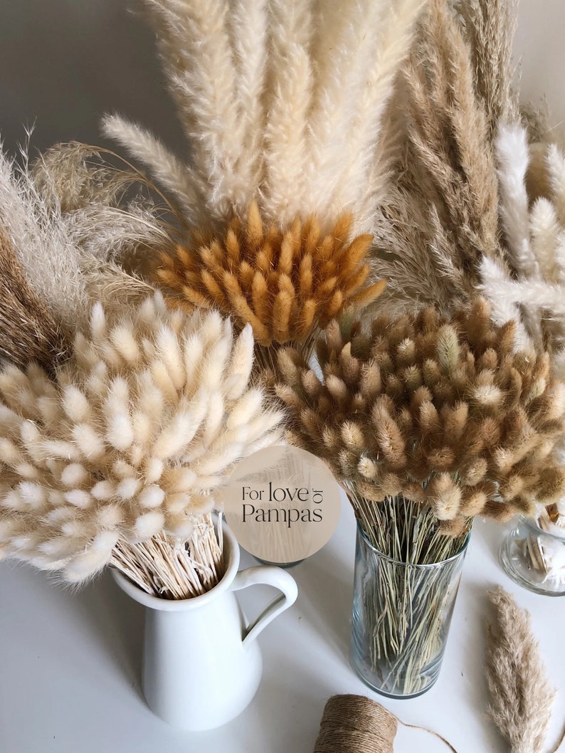 BUNNY TAILS Handpicked Bunch Natural Dried Lagurus Pampas Grass Boho Wedding Decor Bridal Bouquet Bohemian Plant Wedding favors Terracotta image 1