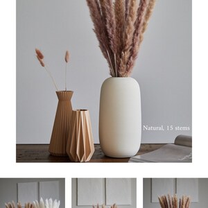 Op de afbeelding: Drie vazen met gedroogd pampasgras. De vaas links is een lichtbruine houten vaas met een geplisseerd ontwerp. De vaas in het midden is een lichtbruine houten vaas met een gevouwen ontwerp. De vaas rechts is een witte keramische vaas. Het pampasgras in de vaas rechts is natuurlijk, met 15 stengels. "Natuurlijk, 15 stengels" staat onder de vaas.