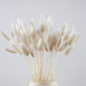 orange huyipin Rabbit Tail Grass Dried Pampas Grass Artificial Natural Flowers Dried Flowers Bouquets Wedding Flower Bunch for Home Office Party Decorations