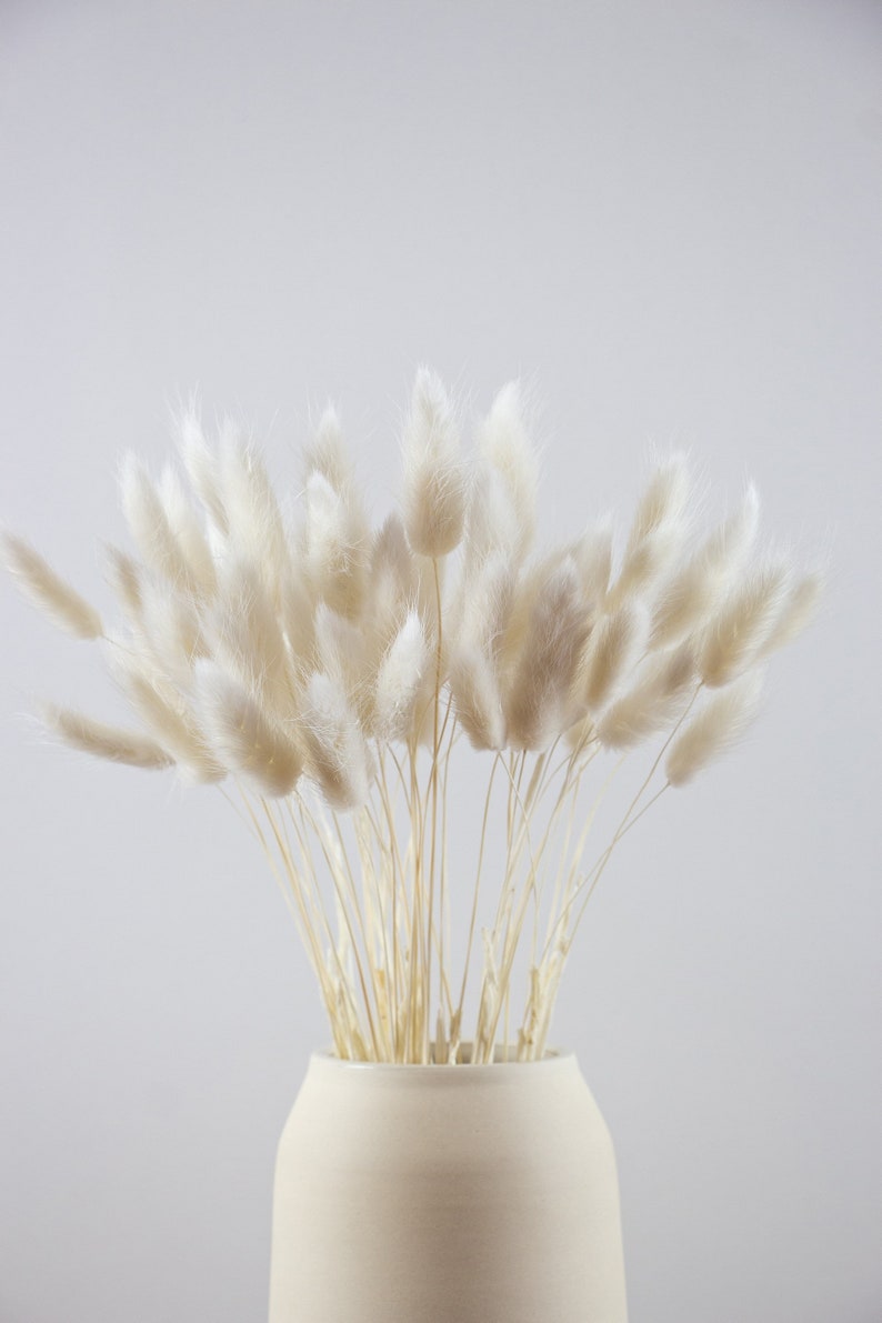 BUNNY TAILS Pampas Grass 45 pcs White Dried Lagurus Boho Etsy