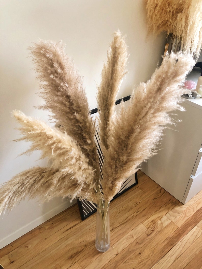 Dried Cortaderia Selloana Boho Wedding Decor Home Interior Housewarming Gift Centerpiece PAMPAS GRASS ROYAL 1 pcs Natural 45 ExtraFluffy