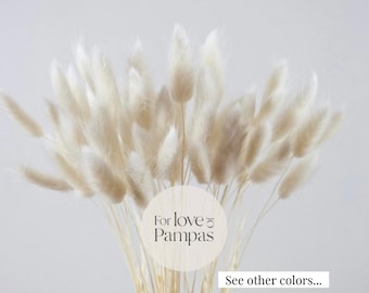White Dried Bunny Tails Bunch: Boho Wedding Decor