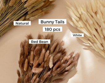 Dried Bunny Tails: Natural Lagurus Grass, Boho Wedding Decor (180 pcs)