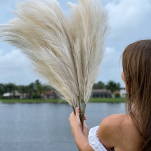 May include: A bouquet of dried pampas grass with fluffy white plumes. The grass is held by a person's hand in front of a lake and a cloudy sky.