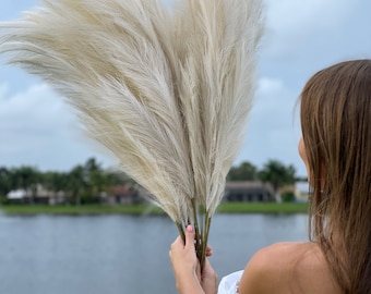 Faux Pampas Grass "Vanilla" (3 stems) Medium 38” tall Artificial - For Love Of Pampas
