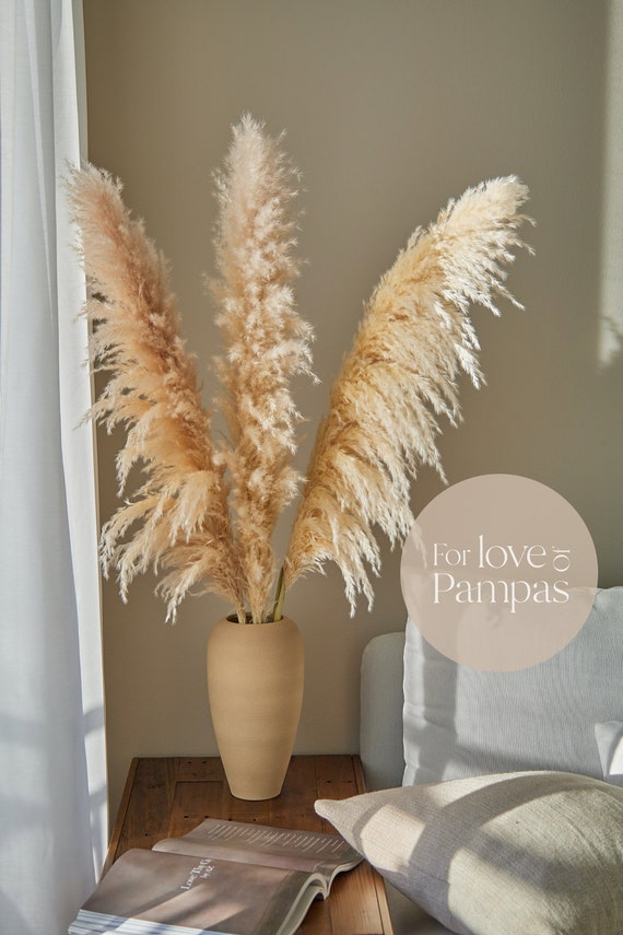 Natural Centerpiece Dried Grass Bunch Natural Dried Grass Dried Decor ...