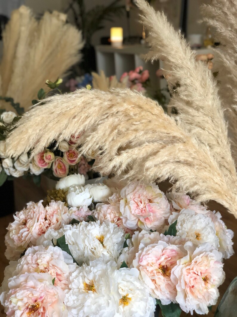 Dried Cortaderia Selloana Boho Wedding Decor Home Interior Housewarming Gift Centerpiece PAMPAS GRASS ROYAL 1 pcs Natural 45 ExtraFluffy