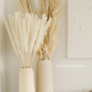 Op de afbeelding: Twee beige keramische vazen met gedroogd pampasgras in cr&egrave;me- en beigekleuren. De vazen staan op een wit oppervlak met een klein wit keramisch decoratief object met gouden accenten.