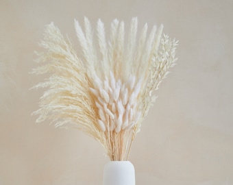 Ivory Pampas Set - Small White Pampas Bunny Tails White Ruscus Ivory Fluffy Pampas Dried Flowers Wedding Decor Home Decor Easter Gift