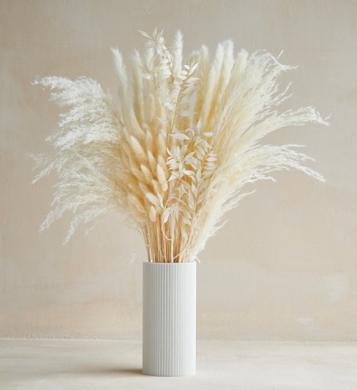 Dried Flower Set: Pampas Grass
