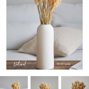 BUNNY TAILS Handpicked Bunch Natural Dried Lagurus Pampas Grass Boho Wedding Decor Bridal Bouquet Bohemian Plant Wedding favors Terracotta Natural