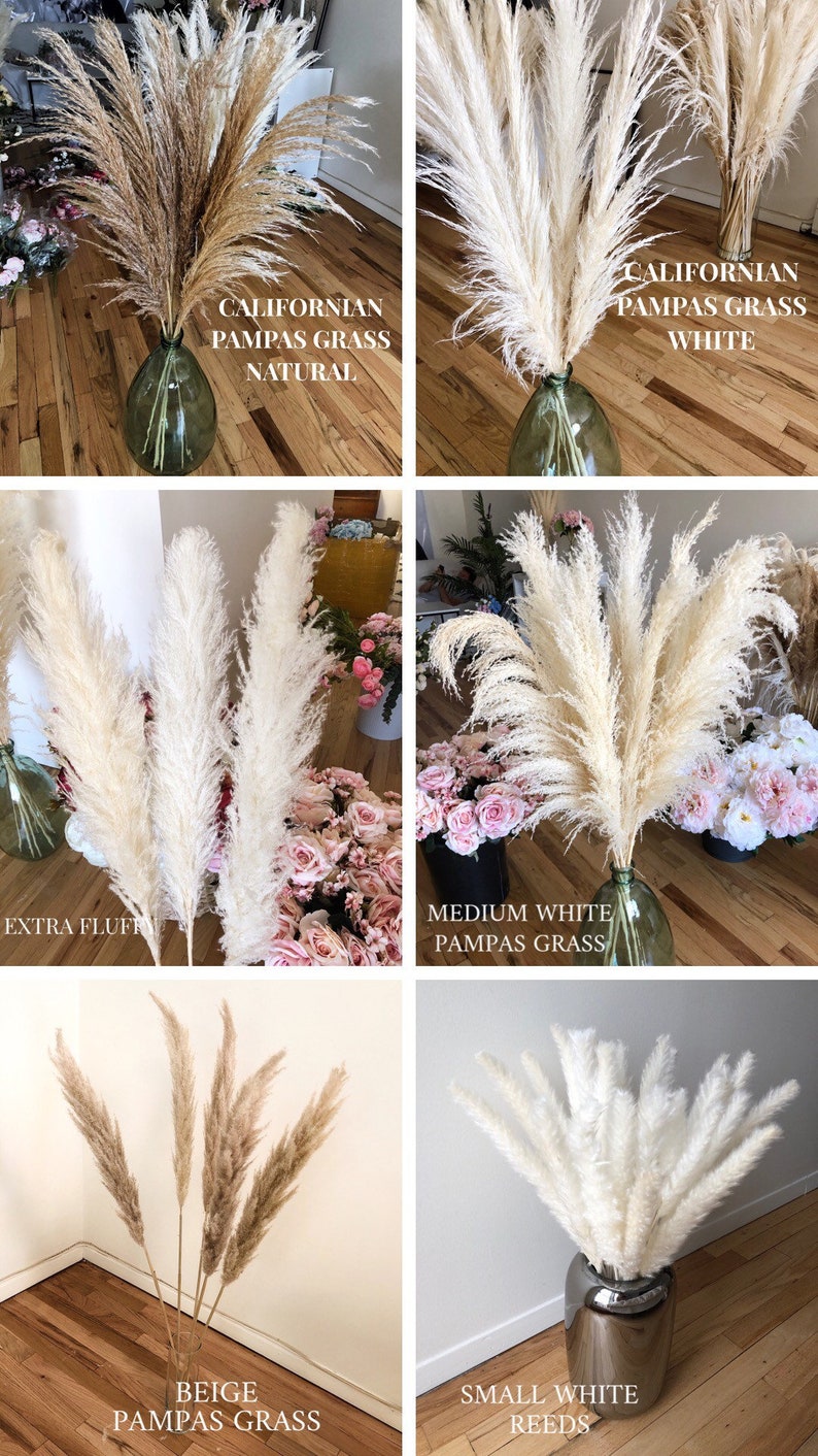 Dried Cortaderia Selloana Boho Wedding Decor Home Interior Housewarming Gift Centerpiece PAMPAS GRASS ROYAL 1 pcs Natural 45 ExtraFluffy
