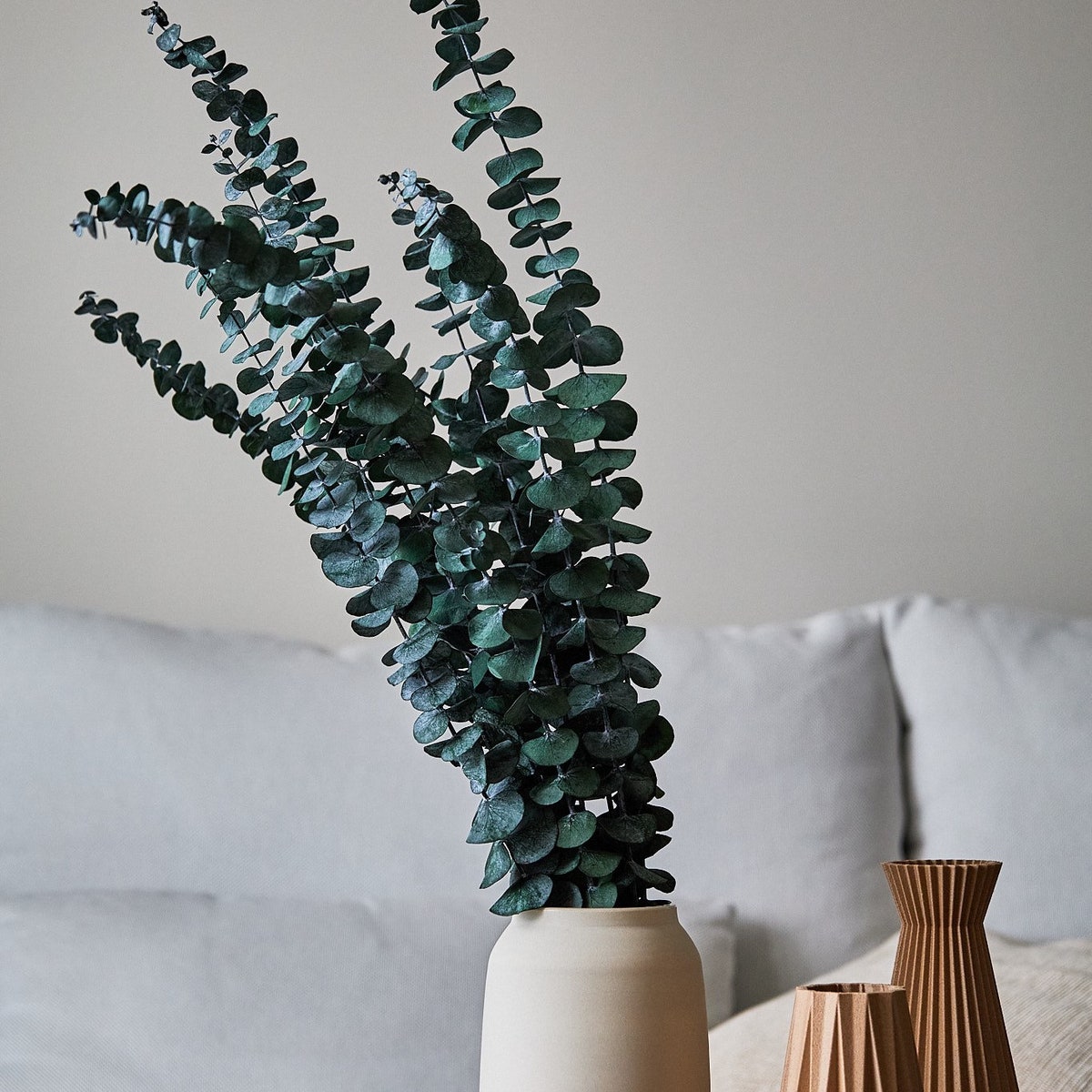 Preserved Eucalyptus Spiral Dried Eucalyptus Bunch Home Decor Boho Bedroom Shower Aesthetic Natural Wedding Table Centerpiece - Etsy
