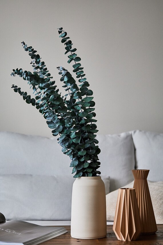 Okaliptus Yağı Sivrisinek